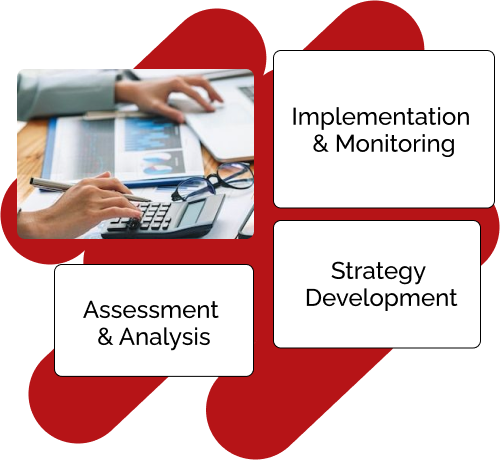 Methologik optimization consulting